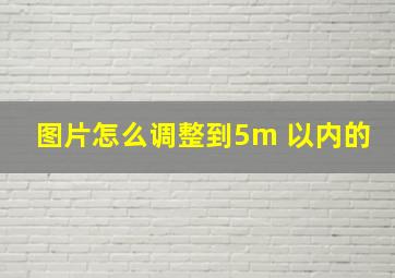 图片怎么调整到5m 以内的